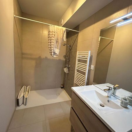 Appartement Avec Jardin Chateauneuf-de-Galaure Zewnętrze zdjęcie