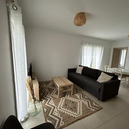 Appartement Avec Jardin Chateauneuf-de-Galaure Zewnętrze zdjęcie