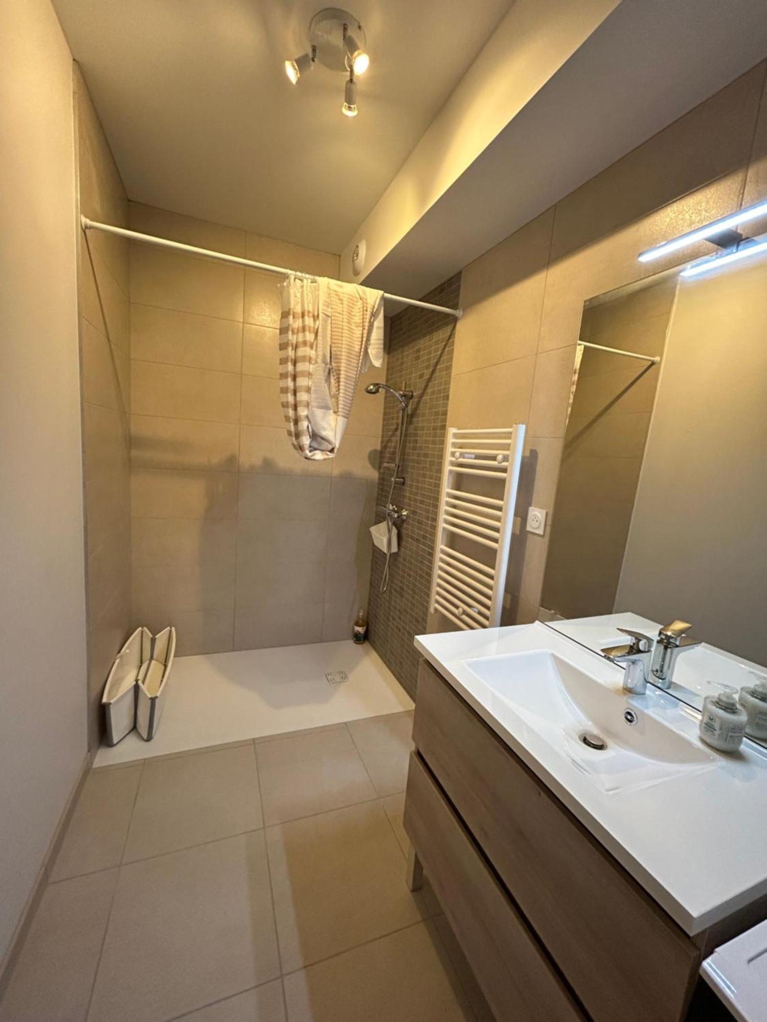 Appartement Avec Jardin Chateauneuf-de-Galaure Zewnętrze zdjęcie